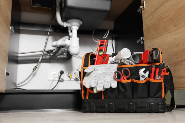 Best Septic Systems  in Holliday, TX